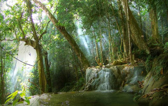 Hutan Adat di Kabupaten Kampar dijadikan Kawasan Eko Wisata